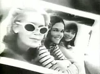 Vintage Geek: Polaroid Camera Swinger Commercial 